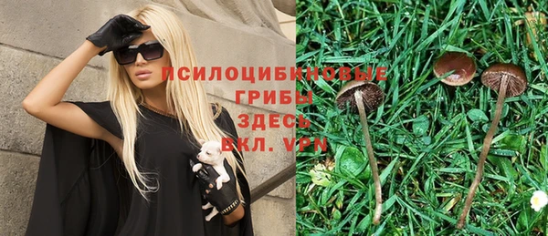 таблы Алексеевка