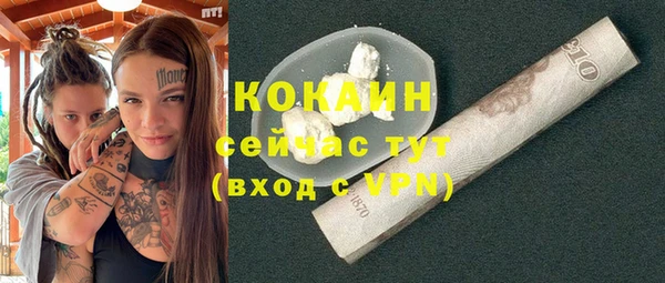 соль ск Алексин