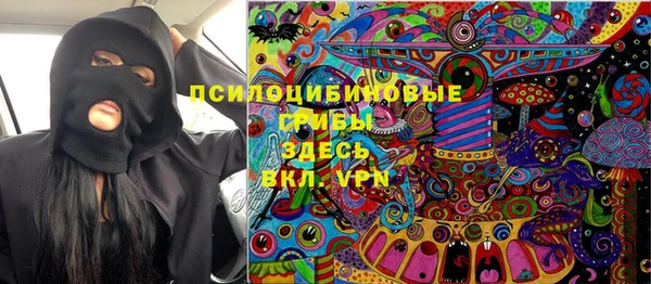 spice Осинники
