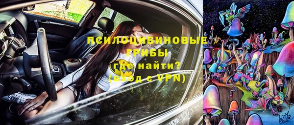 прущая мука Алзамай