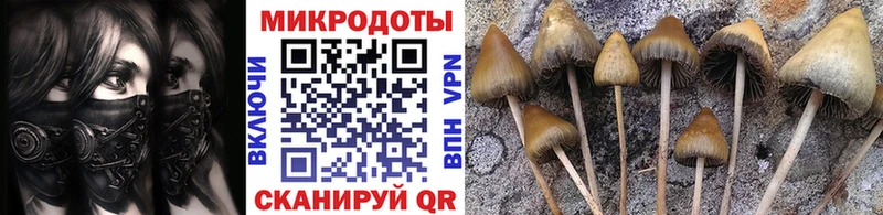 дарнет шоп  Гуково  Галлюциногенные грибы Psilocybine cubensis 