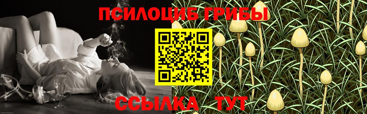 Галлюциногенные грибы Cubensis Гуково