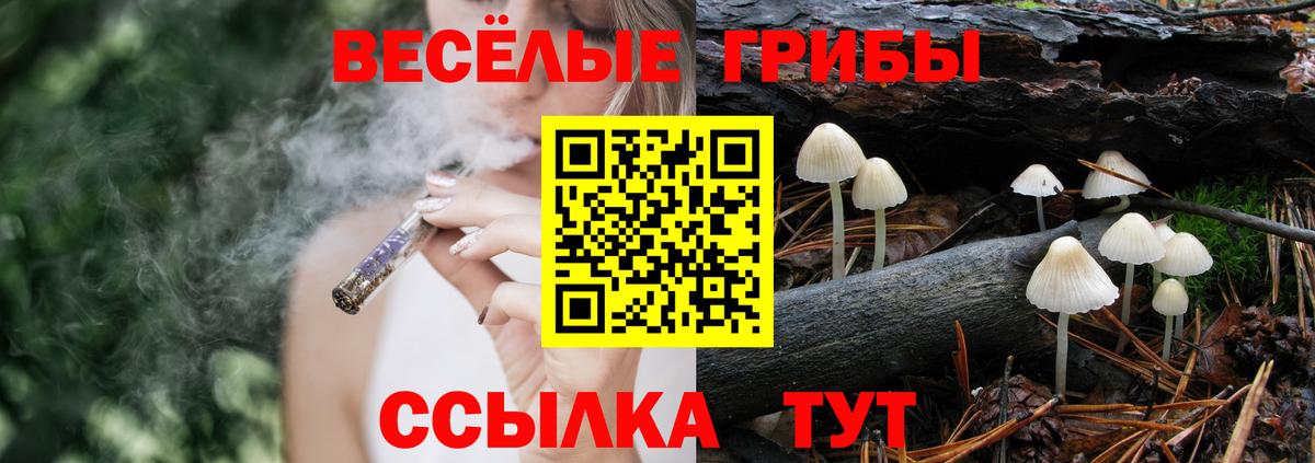 Псилоцибиновые грибы ЛСД  Галлюциногенные грибы Magic Shrooms  Гуково  сколько стоит  Вход с VPN 